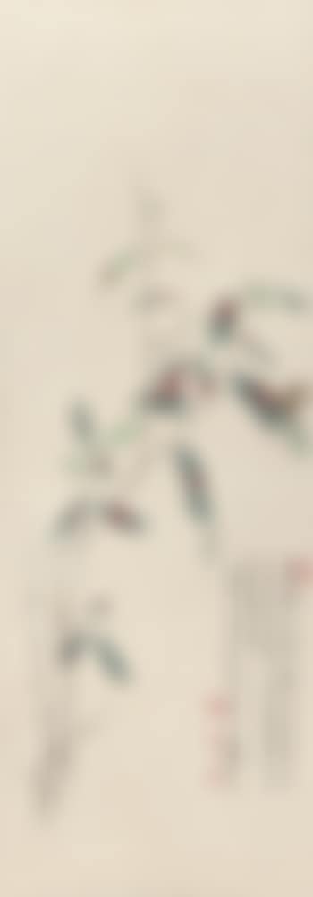 Flowers And Butterfly (preview)