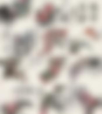 Album Of Flowers (preview)