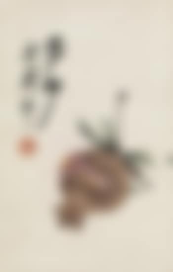 Pomegranates (preview)
