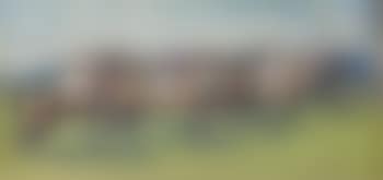 Newmarket, The Start - 2000 Guineas (preview)