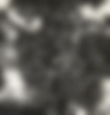 2012 No.1 (preview)