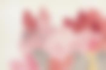 Auspicious (preview)