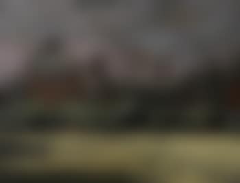 The Royal Hospital, Chelsea (preview)