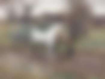 Return from the Fair (preview)