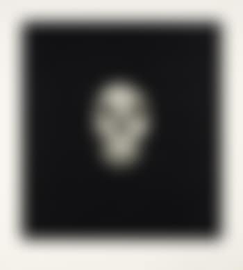 Skull II (preview)