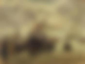 Hafenansicht (preview)