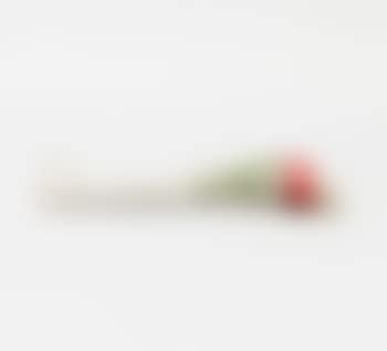 Wrapped Rose (preview)