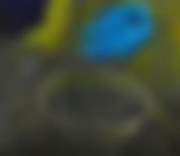 Ohne Titel (preview)