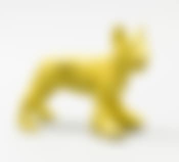 Cloned Yellow English Terrier Dog For The Olympics (preview)
