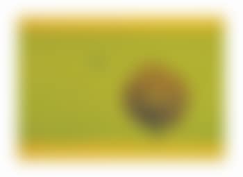 Untitled (Bird and Tree) (preview)
