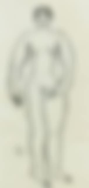 Femme Nue Debout (preview)
