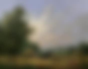 Summer harvest (preview)