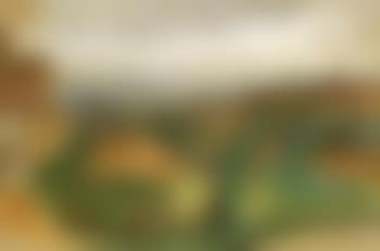 Siena (preview)