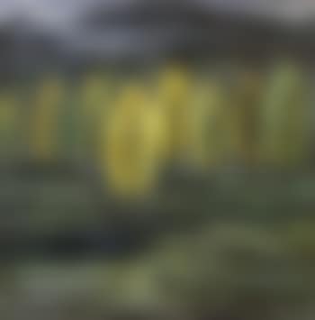 Autumn Landscape (preview)