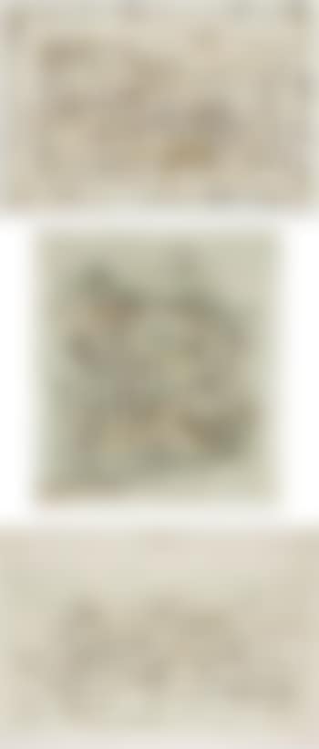 Flore et faune (flora and fauna); Paysage de reve; & Champs abandonnes Flore et faune (preview)