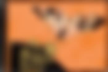 Papillon et raisin (preview)