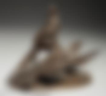 Couple de faisans (preview)