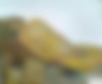 Liegender Akt (preview)