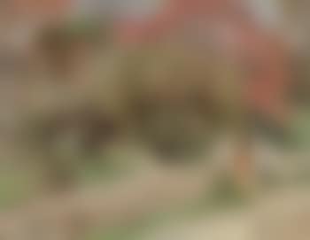 Personnage sur un chemin (preview)