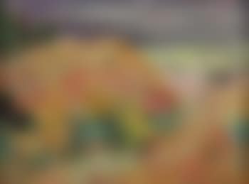 Paysage du sud (preview)