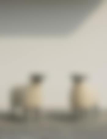 Moutons: Deux Brebis (preview)