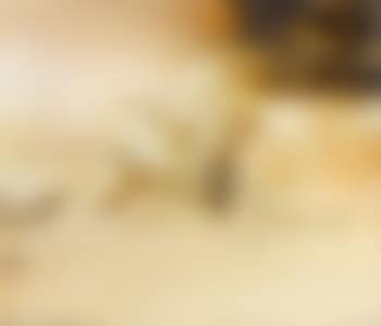 10.04.70 (preview)