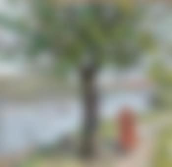 Walking by the River (preview)