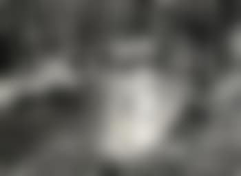 Waldbach (preview)