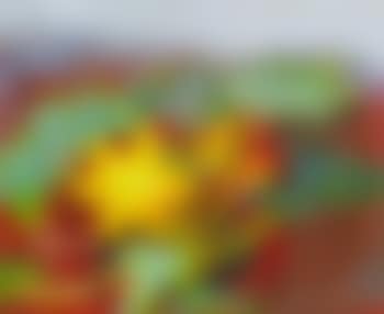 Melon Flower (preview)