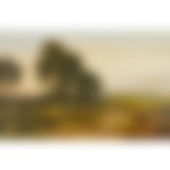 Cattle on a path (preview)
