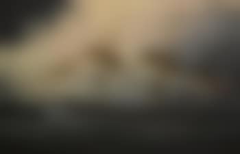 An American frigate in a storm (preview)