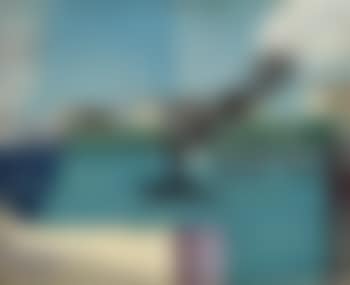 Le remorqueur (preview)