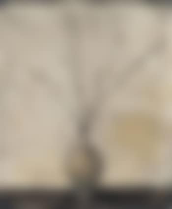 Fleurs de cerisier (preview)