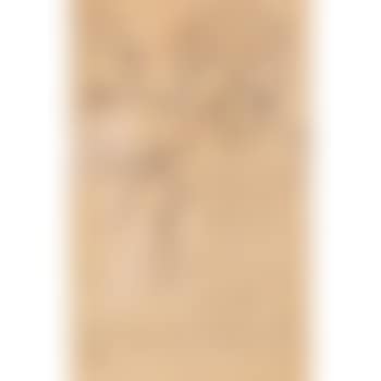 Il y a des bonnets en dentelle plus hauts et en toile blanche plus bas. Elegant lady at a ball by Pierre Bonnard (preview)