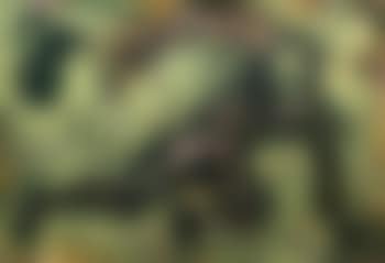 La Source (preview)