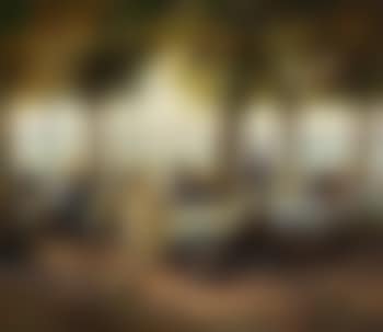 Wirtsgarten am Starnberger See (preview)