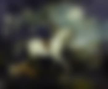 Lady riding in woodland with foxhounds (preview)
