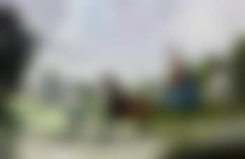 Lady driving carriage on village green (preview)