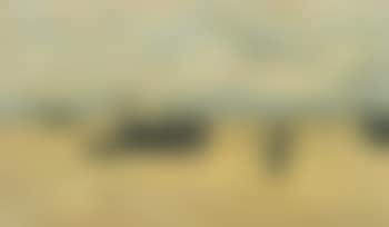Berck, Plages Echouees (preview)