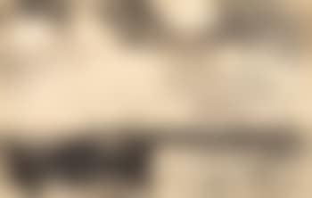 Rotterdam (preview)