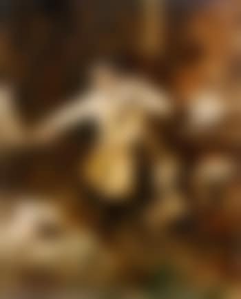 Der Cellospieler (preview)