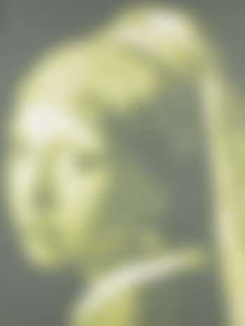 Vermeer Numerise (preview)