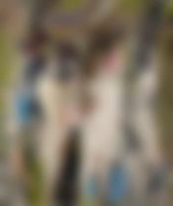 Trois Nus (preview)