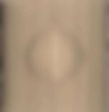 Vega (preview)