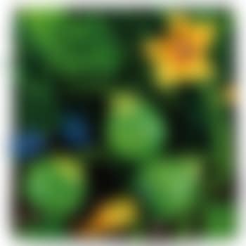 Zucchine tonde (preview)