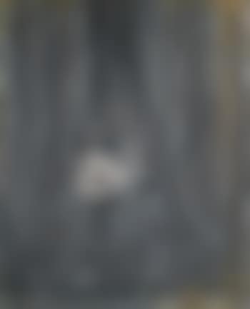 Head III (preview)