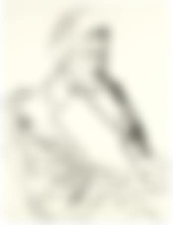 Hans Christian Andersen (preview)