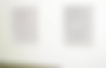 Untitled (Silver Diptych) (preview)