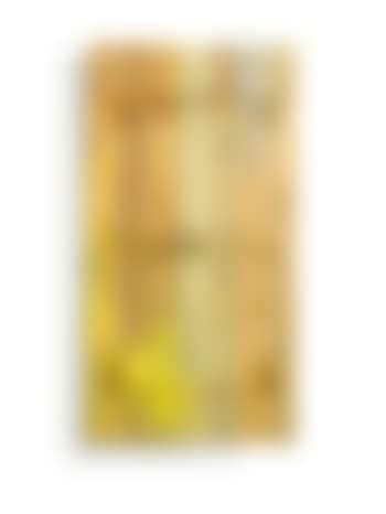 Untitled (Frieze Garden Painting #04) (preview)