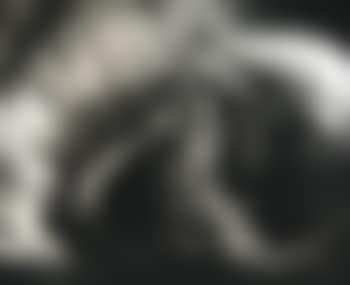 Wall Of Babilonia (preview)